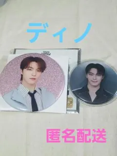 セブチ ディノ 缶バッジ holiday right here