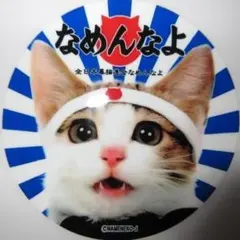 2026年最新】なめ猫昭和の人気アイテム - メルカリ