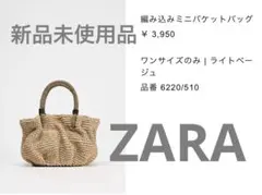 2025年最新】ZARA レディース かごバッグの人気アイテム - メルカリ