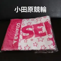 名古屋グランパス グランパスくん ルームウェア上下セット L-XLサイズ