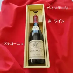 【サマータイム】Bourgogne 2004年 赤ワイン 750ml 仏産　匿のサムネイル