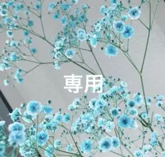 なっちゃんさま　専用