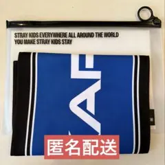 straykids KARMA スローガン