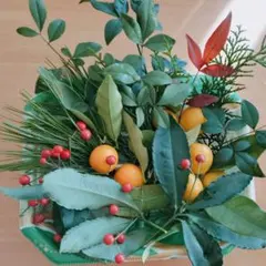 Item thumbnail for item 4a005732-423e-4564-9664-428a008274c5