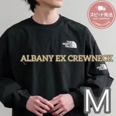 限定セール☆韓国　ノースフェイス アルバニー クルーネック　ロンT 長袖