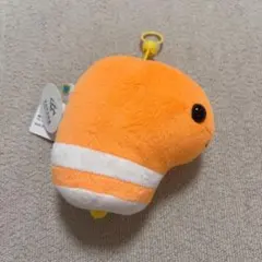 2026年最新】ニシキアナゴの人気アイテム - メルカリ