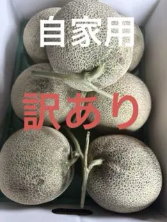 メロン農家直送 訳あり 網目が黒い 6玉入り8キロ 糖度は十分あります