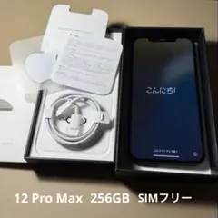Apple iPhone 12 Pro Max 256GB グラファイ