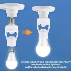 Item thumbnail for item 75545568-9fef-49de-8de4-5c05448d4bce