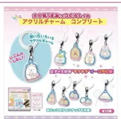 すみっコぐらしアクリルチャーム 全10種コンプリート【商品説明必読】