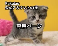 2025年最新】Rakutao公式アカウント01の人気アイテム - メルカリ