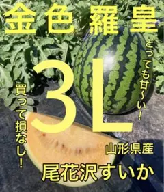 羅皇2玉セット 赤肉 黄肉すいか 尾花沢すいか - メルカリ