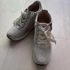 Item thumbnail for item 01f143e0-79e0-433b-b511-63572b36d0a6