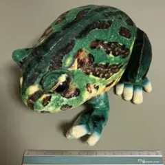 ツノガエルくじ ぬいぐるみ 特賞 非売品 くじ景品 ツノガエル ぬいぐるみ ツノガエルくじ カエル CUTEの