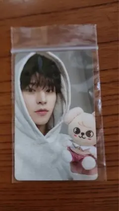 straykids ズートピア