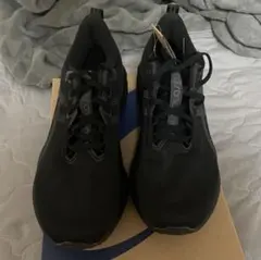 本日、限定価格　 ASICS NOVABLAST 5 メンズ