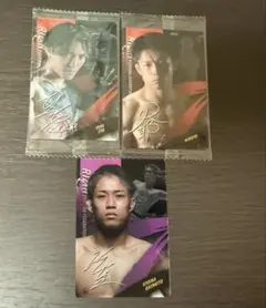 RIZINウエハース 伊藤裕樹 ヒロヤ 秋元強真