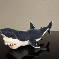 Item thumbnail for item 7e77376a-9122-460f-b096-58dfc185eaf8