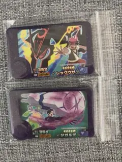ポケモンフレンダ ベストタッグ第5弾 レックウザ ジガルデ スーパートレジャー