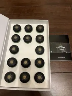 Arccos Gen 3+ センサー 14個