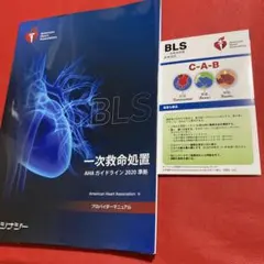 BLS 一次救命処置 プロバイダーマニュアル 2020 BLSプロバイダーマニュアル 2020（日本語版） | シェパードオンライン