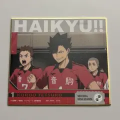 ハイキュー!! 音駒高校 黒尾鉄朗 ミニ色紙