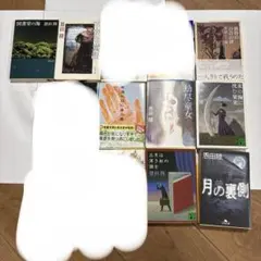 希少】 【オール初版】 五條 瑛 全15作品 文庫本 まとめ売り - メルカリ