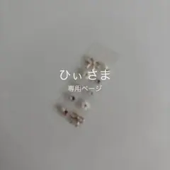 ひぃ 様 専用ページ