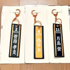 ハイキュー タイトーくじ フライトタグ 缶バッジセット - メルカリ