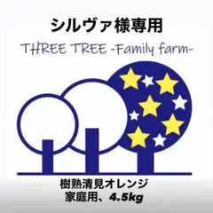 シルヴァ様専用! 和歌山県田辺産 清見オレンジ きよみ 清美 家庭用4.5kg