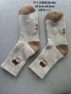 床冷え知らず モンゴル産あったかウール靴下・2足セット(同色・同サイズ)