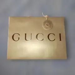 GUCCI ショッパー　⬜特大⬜ 36×48×17cm