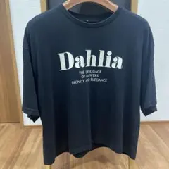 ハニーサックルローズ　黒　ブラック　Tシャツ　おすすめ　可愛い　美品のサムネイル
