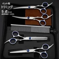 Item thumbnail for item 1949ae3d-6ebd-44dd-b50f-18b999ba93ec