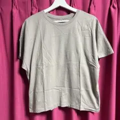 Item thumbnail for item a994eca1-c98a-485b-b38d-ef1f2020ccdb