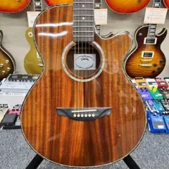 【11488】Headway TF-1000C エレアコ アコースティックギターのサムネイル