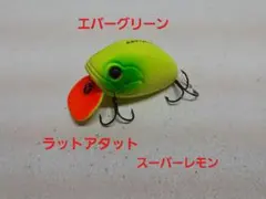 Item thumbnail for item 6866b1c7-abed-4c44-ad71-d9f145d3fa27