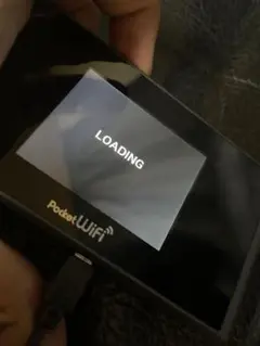 Pocket Wi-Fi 303ZT