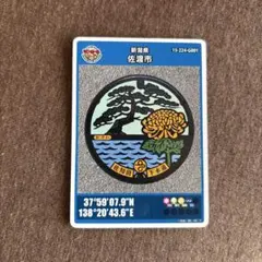 Item thumbnail for item 4dee0a1b-30bc-4df6-89ff-56ef38d2d3fb