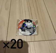 CrazyRaccoon うるか バースデー 缶バッジ 20個 - メルカリ