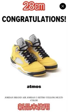 Nike Air Jordan 5 Retro 