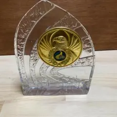 SAFTGARD SUPPLIES アクリル製ゴールドグラブ ディスプレイケース 
