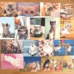 猫のポストカードセット　17枚セット