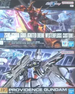 HG グフイグナイテッド(ハイネ機) & プロヴィデンスガンダム 2つセットのサムネイル