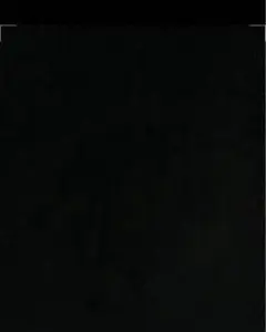 Mapi様専用　カード3枚