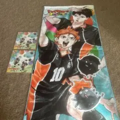 ハイキュー!! FAN PARK ファンパーク タオル 色紙 セット