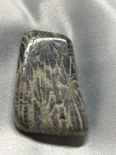 さんご