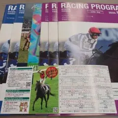 11/29.30 JRA レーシングプログラム 19 レーシングスケジュール付
