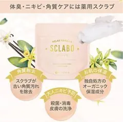 2025年最新】スクラボウォッシュオフの人気アイテム - メルカリ