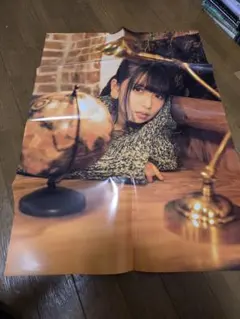 Item thumbnail for item 3dc4795a-b7a0-4795-9511-20976c7d8a1d